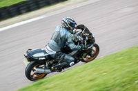 Lower Group Black Bikes